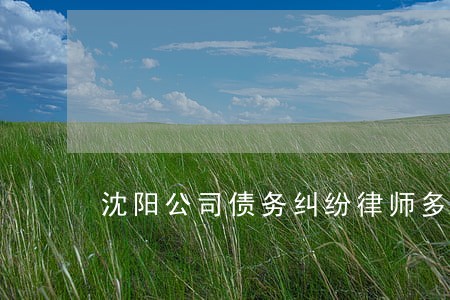 沈阳公司债务纠纷律师多少钱 沈阳公司债务纠纷律师多少钱