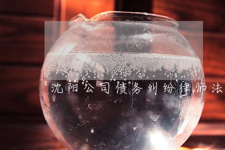 沈阳公司债务纠纷律师法律咨询 沈阳公司债务纠纷律师法律咨询