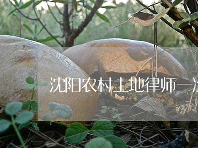 沈阳农村土地律师一次多少钱
