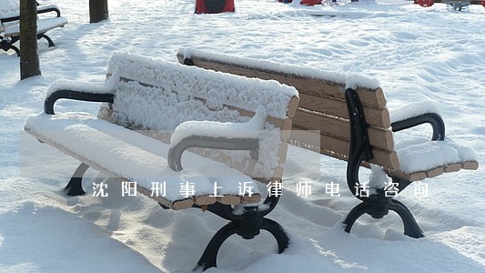 沈阳刑事上诉律师电话咨询 沈阳刑事上诉律师电话咨询