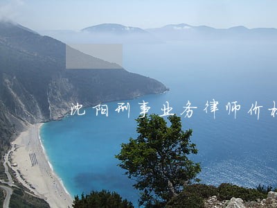 沈阳刑事业务律师价格合理 沈阳刑事业务律师价格合理