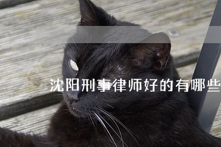 沈阳刑事律师好的有哪些 沈阳刑事律师好的有哪些