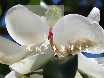 沈阳刑事案律师免费法律咨询 沈阳刑事案律师免费法律咨询