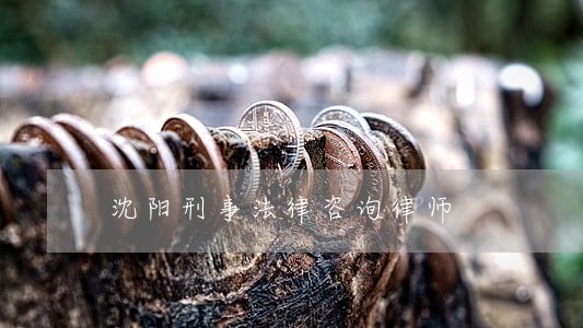 沈阳刑事法律咨询律师 沈阳刑事法律咨询律师
