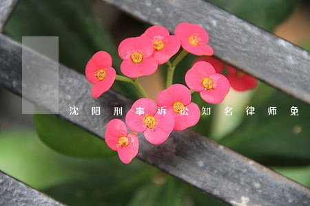 沈阳刑事诉讼知名律师免费咨询 沈阳刑事诉讼知名律师免费咨询