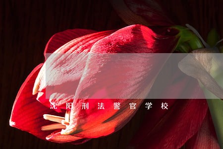 沈阳刑法警官学校 沈阳刑法警官学校