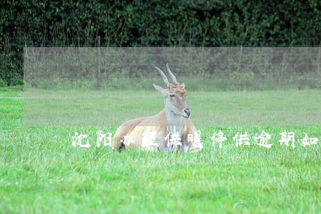 沈阳办理供暖停供逾期如何办理 沈阳办理供暖停供逾期如何办理