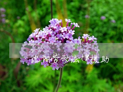 沈阳劳动法律援助