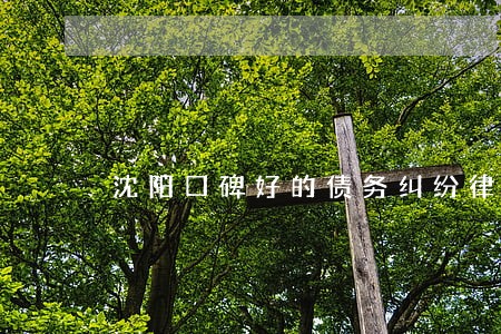 沈阳口碑好的债务纠纷律师 沈阳口碑好的债务纠纷律师