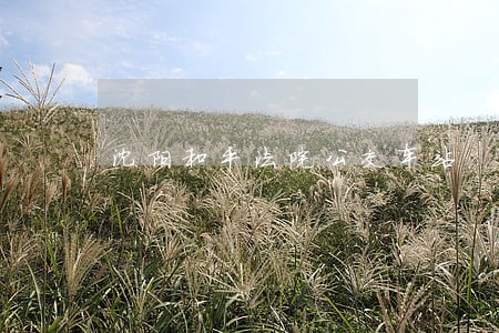 沈阳和平法院公交车站 沈阳和平法院公交车站