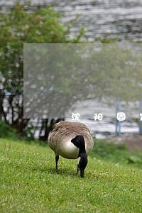 沈阳固定资产司法查档
