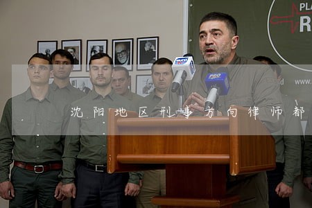 沈阳地区刑事方向律师都有谁 沈阳地区刑事方向律师都有谁