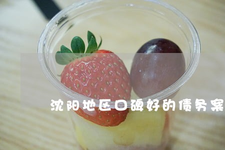 沈阳地区口碑好的债务案件律师