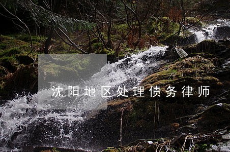 沈阳地区处理债务律师 沈阳地区处理债务律师