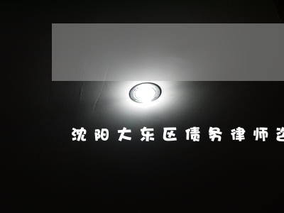 沈阳大东区债务律师咨询免费 沈阳大东区债务律师咨询免费