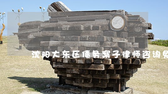 沈阳大东区债务案子律师咨询免费 沈阳大东区债务案子律师咨询免费