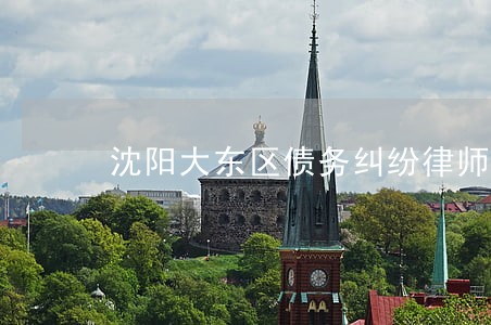 沈阳大东区债务纠纷律师免费咨询 沈阳大东区债务纠纷律师免费咨询