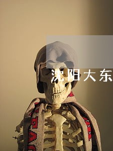 沈阳大东区债务纠纷律师电话