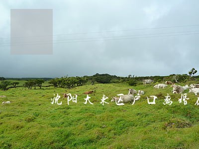 沈阳大东区户口离婚在哪办理