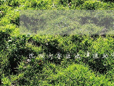 沈阳大东区法律援助中心