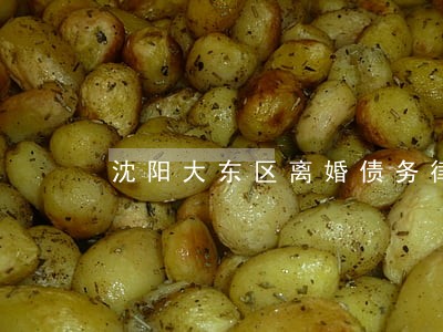 沈阳大东区离婚债务律师免费咨询 沈阳大东区离婚债务律师免费咨询