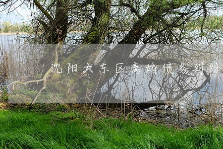 沈阳大东区离婚债务纠纷律师电话