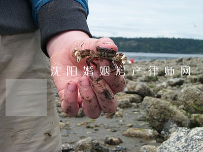 沈阳婚姻房产律师网 沈阳婚姻房产律师网