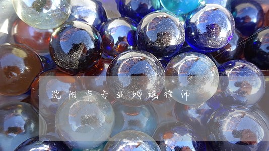 沈阳市专业婚姻律师 沈阳市专业婚姻律师