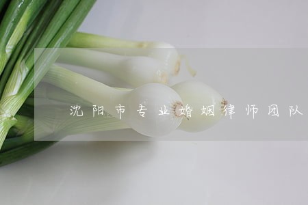 沈阳市专业婚姻律师团队 沈阳市专业婚姻律师团队