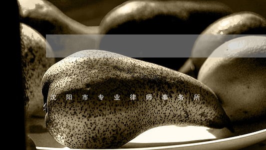 沈阳市专业律师事务所 沈阳市专业律师事务所