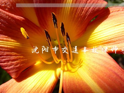 沈阳市交通事故律师咨询热线 沈阳市交通事故律师咨询热线