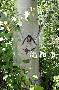 沈阳市债务律师电话咨询 沈阳市债务律师电话咨询