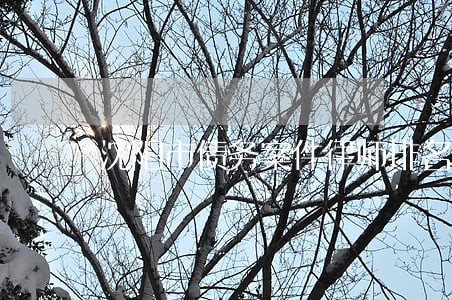 沈阳市债务案件律师排名 沈阳市债务案件律师排名