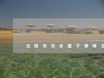 沈阳市债务案子律师咨询电话 沈阳市债务案子律师咨询电话
