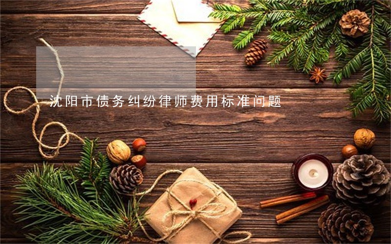 沈阳市债务纠纷律师费用标准问题 沈阳市债务纠纷律师费用标准问题