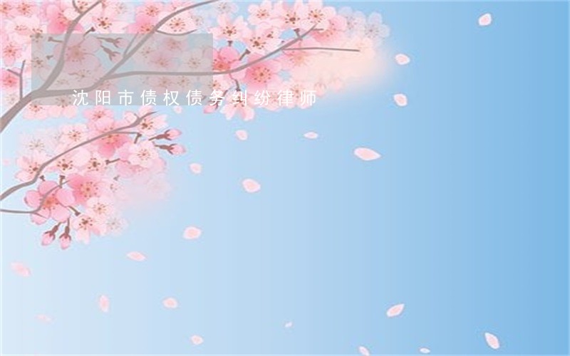 沈阳市债权债务纠纷律师 沈阳市债权债务纠纷律师