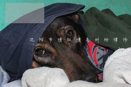沈阳市债权债务纠纷律师多少钱 沈阳市债权债务纠纷律师多少钱
