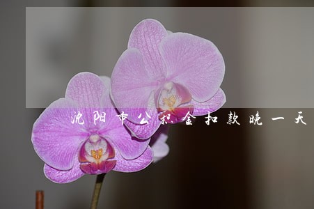 沈阳市公积金扣款晚一天会逾期吗 沈阳市公积金扣款晚一天会逾期吗