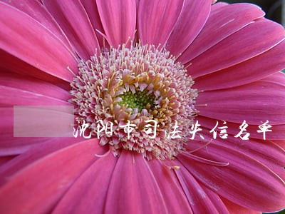 沈阳市司法失信名单 沈阳市司法失信名单