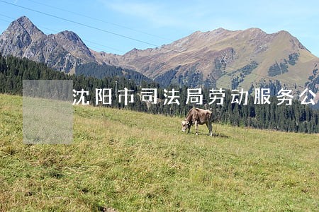 沈阳市司法局劳动服务公司 沈阳市司法局劳动服务公司