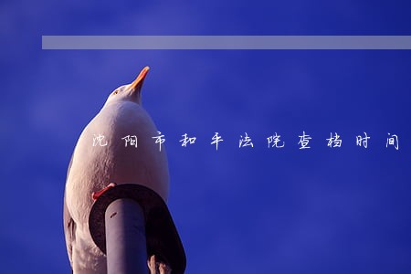沈阳市和平法院查档时间 沈阳市和平法院查档时间