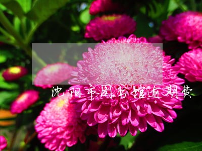 沈阳市图书馆逾期费 沈阳市图书馆逾期费