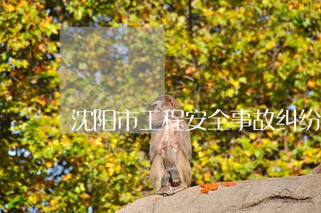 沈阳市工程安全事故纠纷律师排行 沈阳市工程安全事故纠纷律师排行