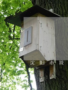 沈阳市找个婚姻律师电话 沈阳市找个婚姻律师电话