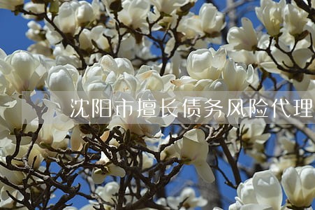 沈阳市擅长债务风险代理律师 沈阳市擅长债务风险代理律师