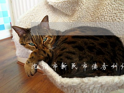 沈阳市新民市债务纠纷律师 沈阳市新民市债务纠纷律师
