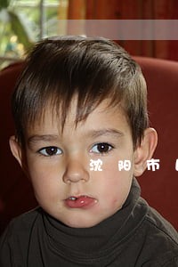 沈阳市民事债务纠纷律师 沈阳市民事债务纠纷律师