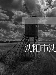 沈阳市沈河区代理合同案律师排行 沈阳市沈河区代理合同案律师排行