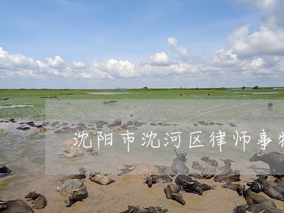 沈阳市沈河区律师事物所电话 沈阳市沈河区律师事物所电话