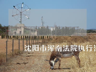 沈阳市浑南法院执行法官 沈阳市浑南法院执行法官
